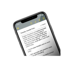 Dragon Professional Mobile Abonnement 12 mois